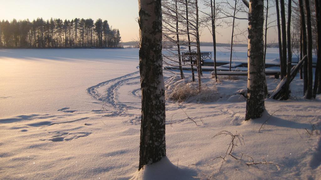 Nestorinranta Resort Lintusalo Bagian luar foto
