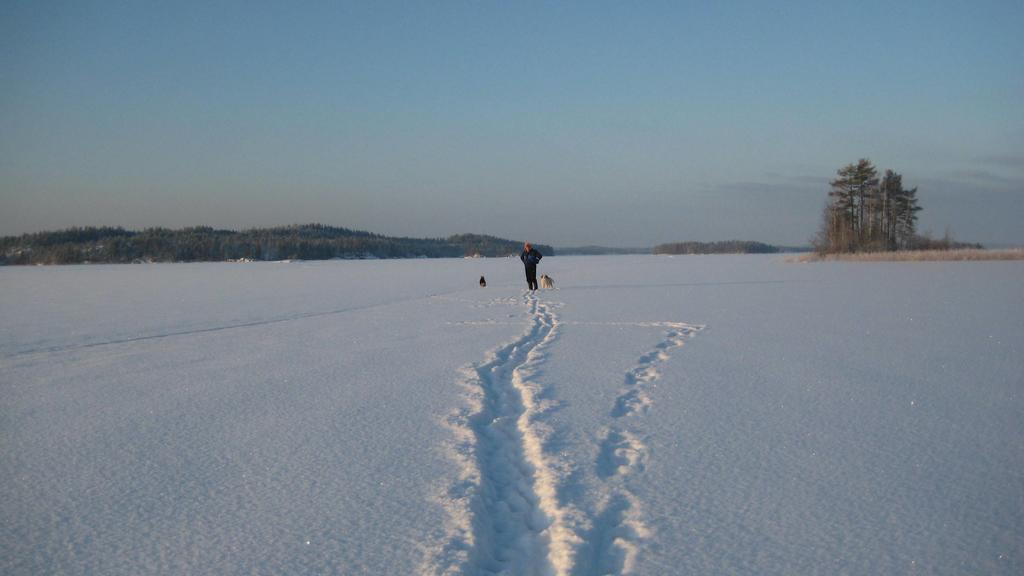 Nestorinranta Resort Lintusalo Bagian luar foto