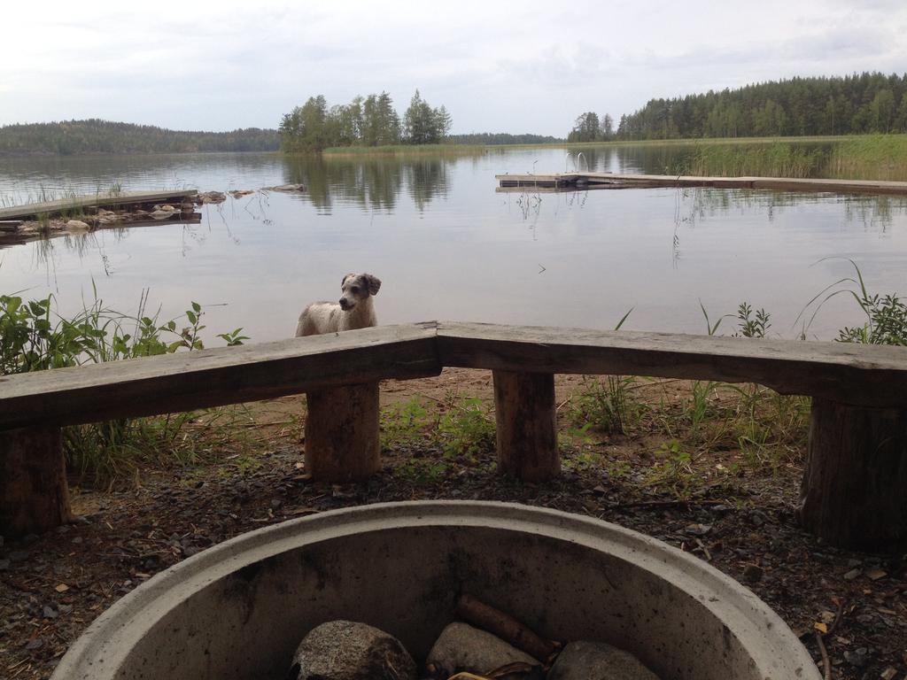 Nestorinranta Resort Lintusalo Bagian luar foto